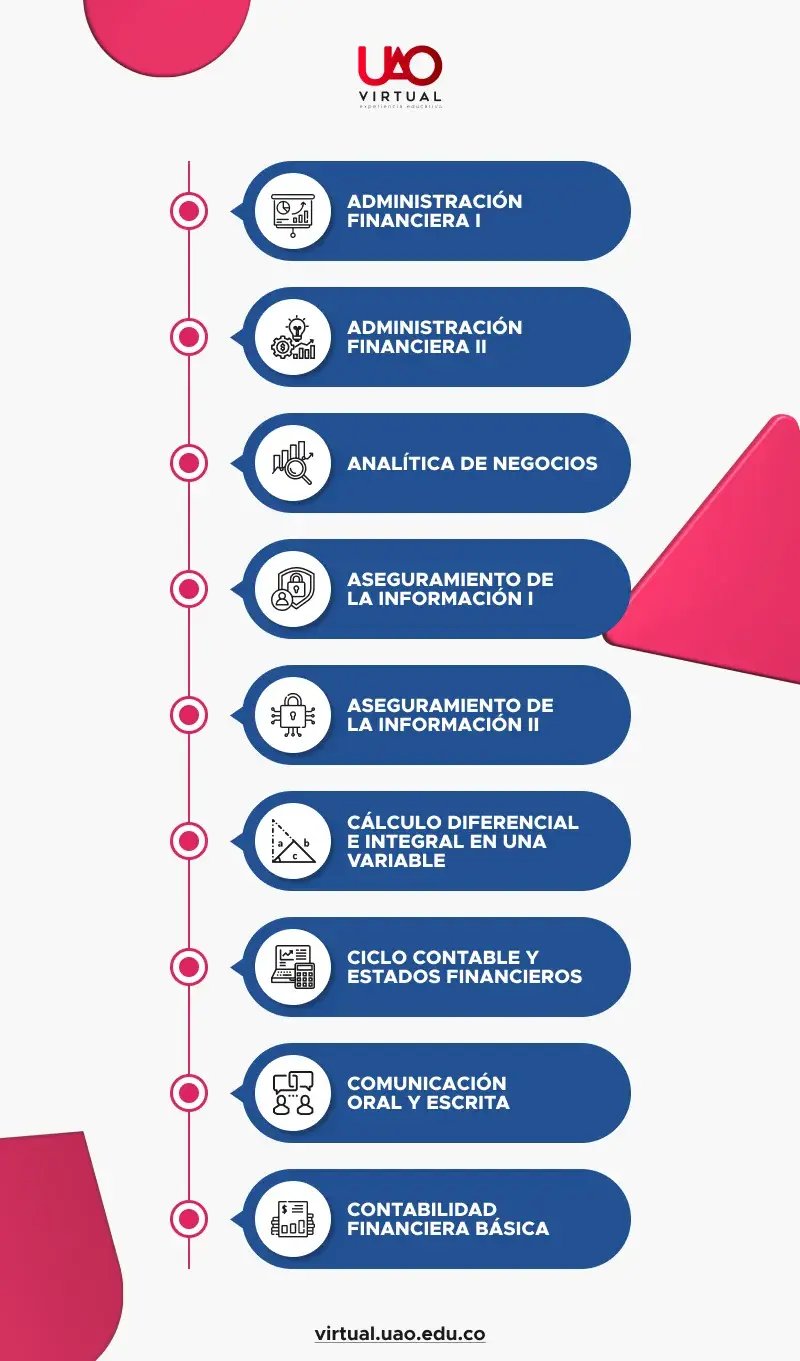 contaduria publica que materias se ven