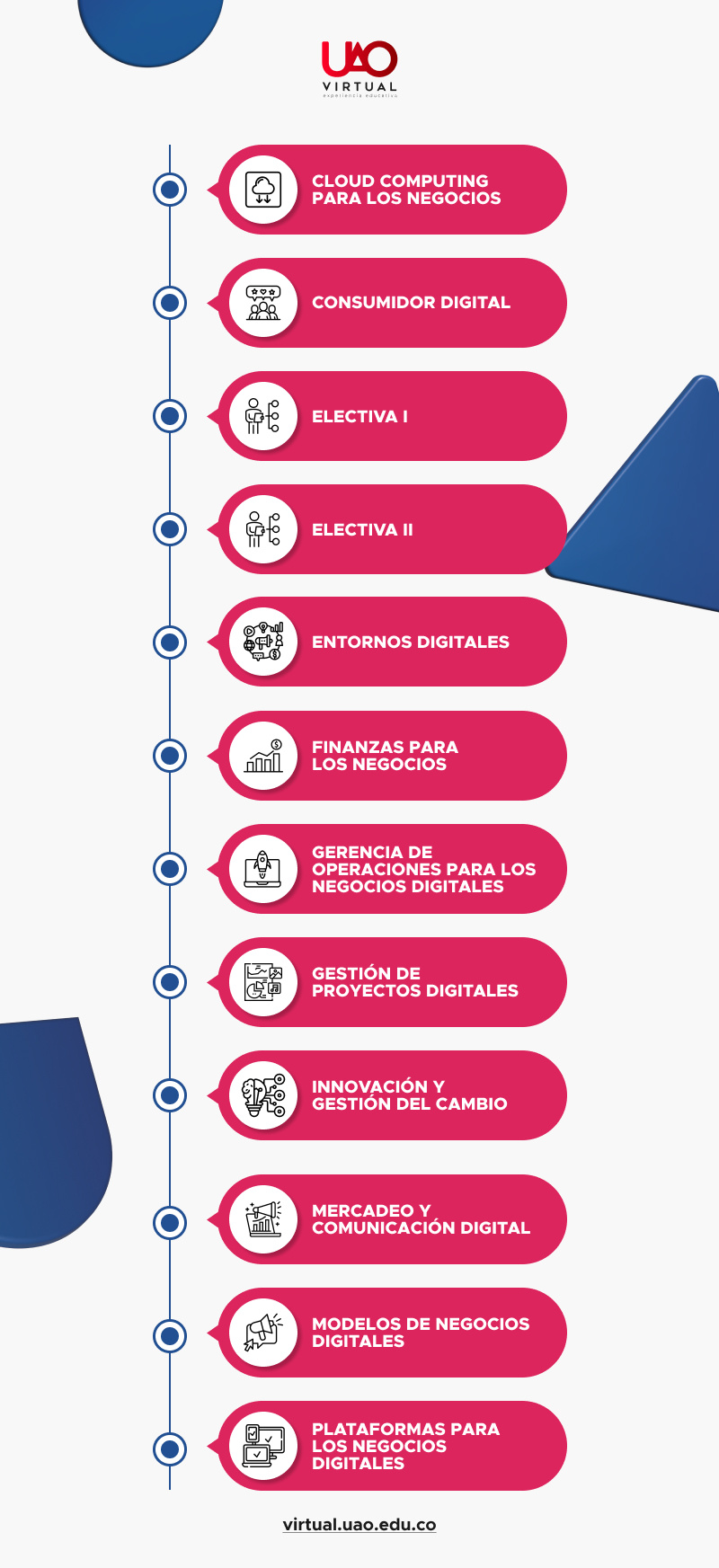 perfil especialista en gerencia de proyectos