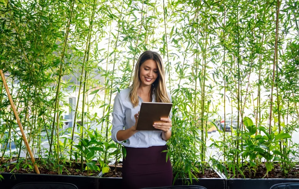 Maestría en Gestión Ambiental y Desarrollo Sostenible: qué es y por qué estudiar este posgrado