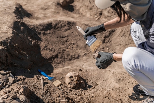 ¿Cuál es el campo de estudio de la antropología cultural?