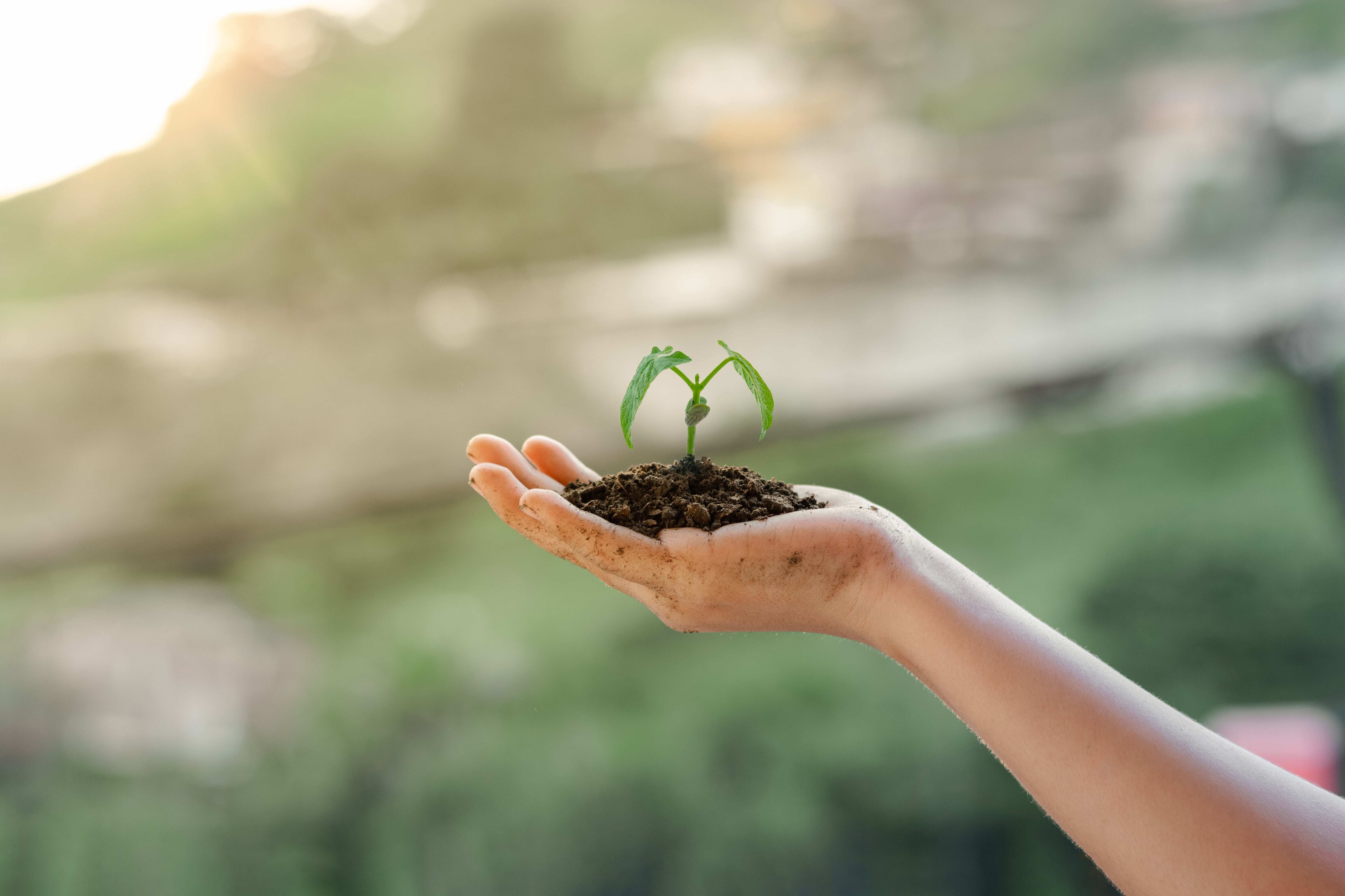 ¿De qué se trata la Especialización en Educación y Comunicación Ambiental?